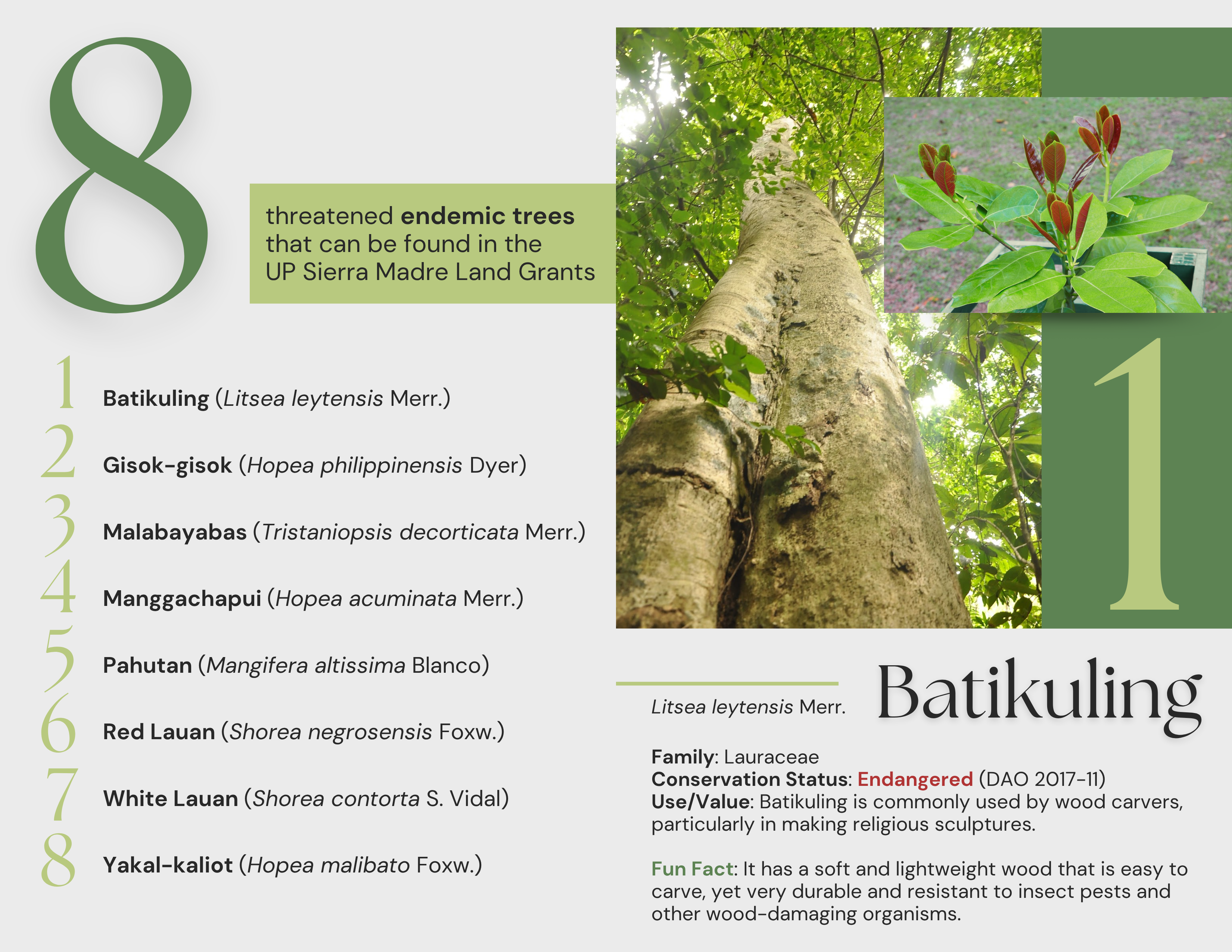 Third set of pages of the brochure